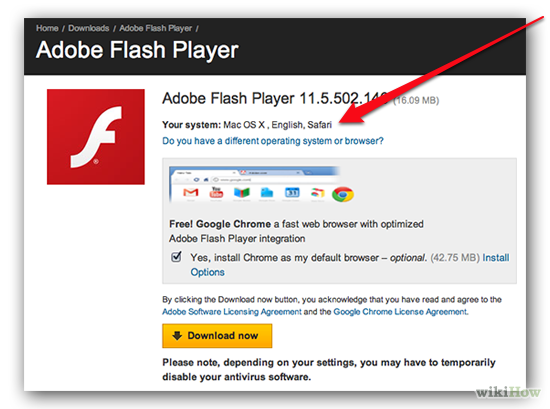 Download flash player